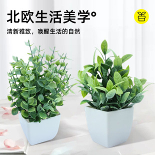 Cross-Border Artificial Flowers, Furniture, Desktop Creative Ornaments, Plastic Flowers, Fake Grass and Green Plants, Indoor Mini Decorative Bonsai