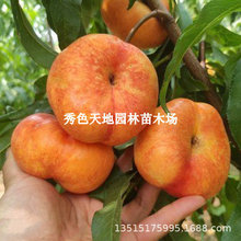 �޽������5̖��Ҙ�������6�´���������ϱ����Nֲ���䮔��Y��