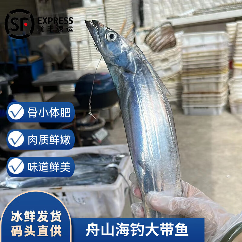 沢素湾舟山小眼钓带鱼 雷达网无骨粒东海油带鱼大号刀鱼送礼盒春