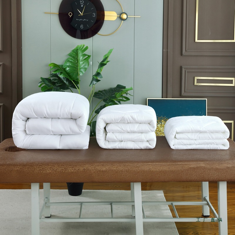 Beauty Bed Quilt Core Beauty Salon Quilt Foot Bath Shampoo Bed Summer Quilt Spring & Fall Quilt Thickeneded Winter Quilt 120X180