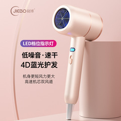 越境家庭用ヘアドライヤー 寮用 冷熱風 強風力 ネット人気 高出力 美容室用ヘアドライヤー メーカー卸売