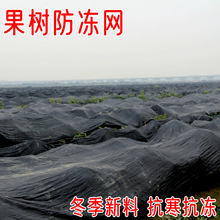 霜冻网果树网寒罩柑橘茶树大棚种植加厚密农用全新料抗寒抗冻霜