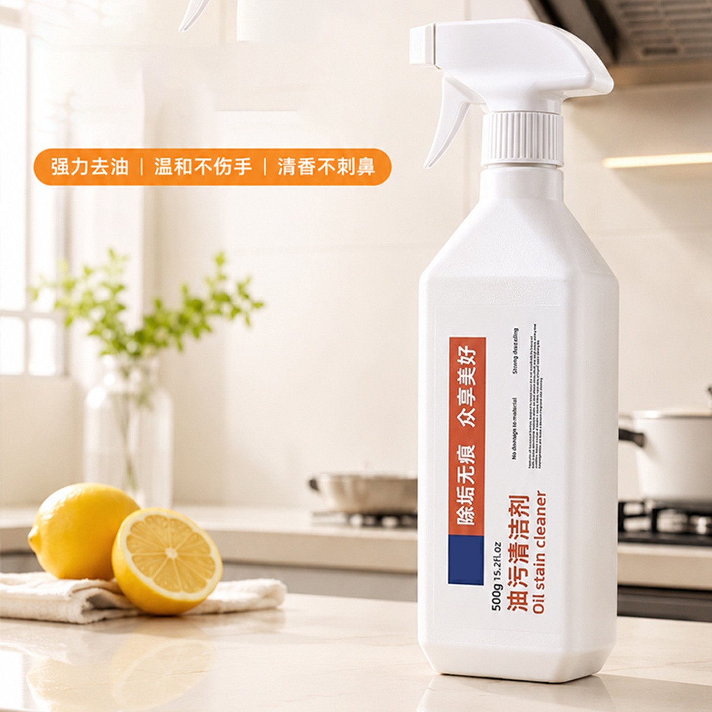 【普通款】油污净清洁剂-500g
