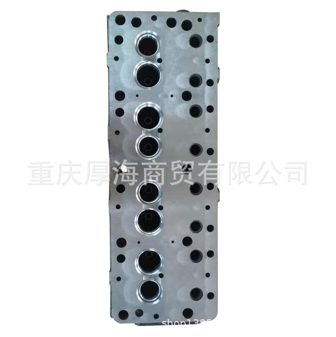 Supply SD22 SD23 Cylinder Head 11041-29W01/09W00 for NISS AN SD22