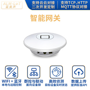 Интеллектуальный Wi -Fi Bluetooth Gateway Ethernet