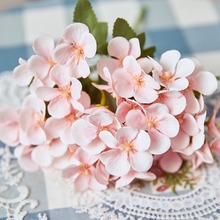 ���滨�O�����ٻ����Ļ�С���Ľ���5�潑�򻨲��������羳���N��