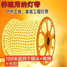 LED��100�׳����׹�ʹ�ܛ���l�������������b�������ˮ����22