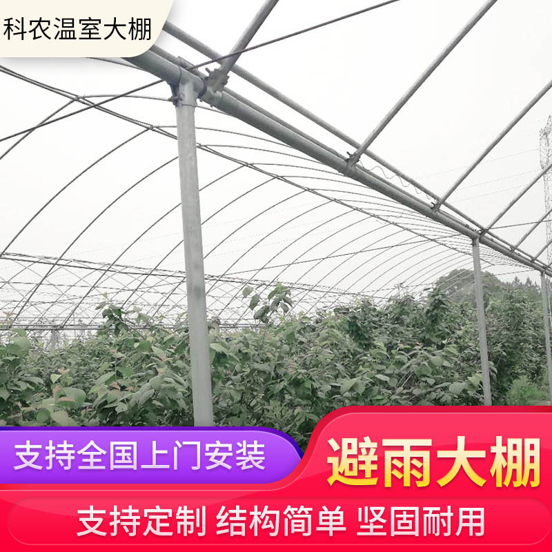 Rain shelter greenhouse breeding greenhouse insulation greenhouse weatherproof strawberry greenhouse greenhouse construction customization Rain shelter greenhouse breeding greenhouse insulation greenhouse weatherproof strawberry greenhouse greenhouse construction customization