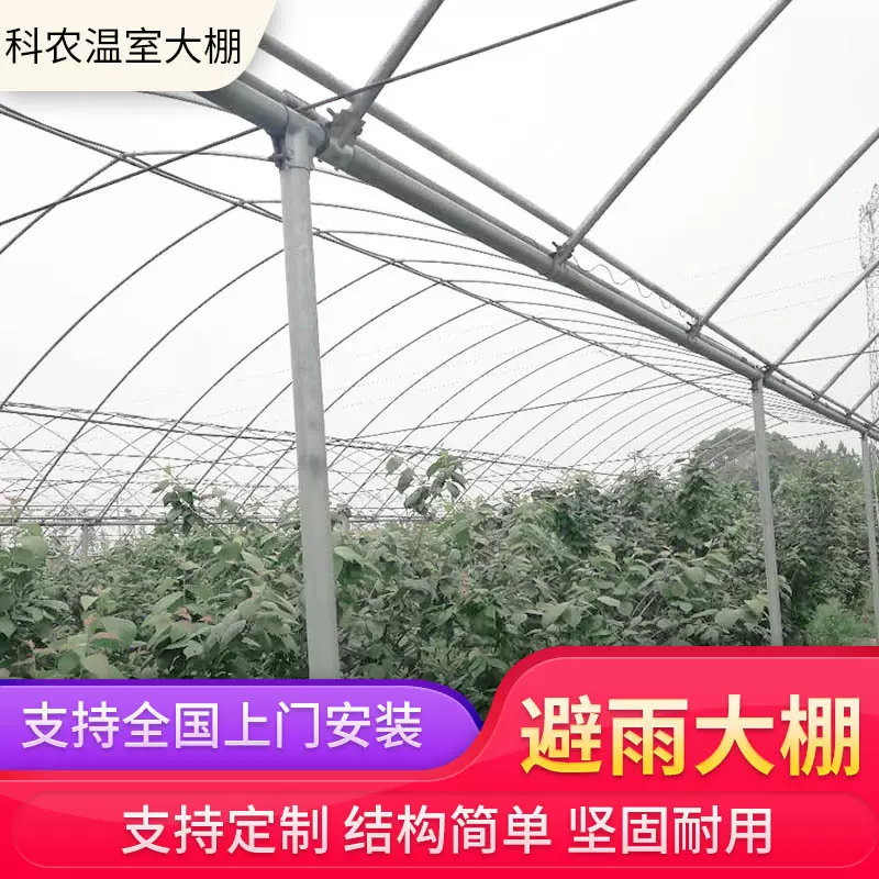 避雨大棚养殖温室大棚保温花房防风雨草莓暖棚温室大棚建设定  制