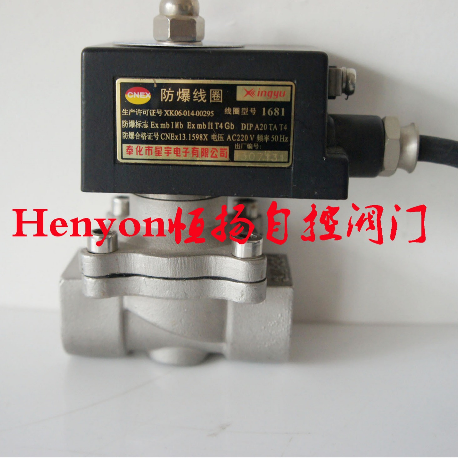 现货供应EX-2W200-20B/EX-2S200-20不锈钢防爆电磁阀