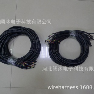 SM ���^ 4о�p�Ź�ĸ���往���^��