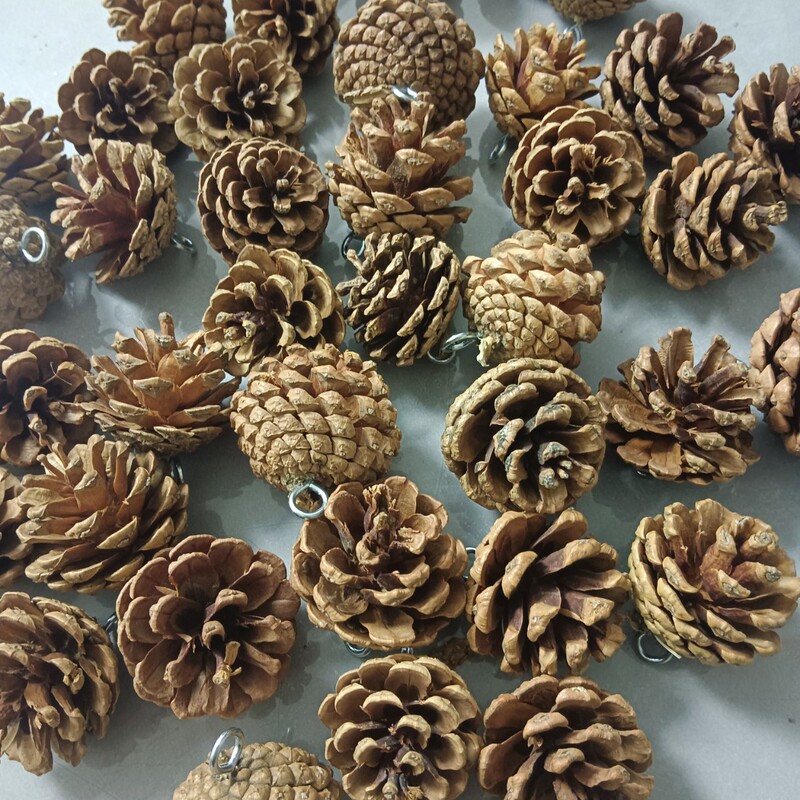 Pinecone with Nails Christmas Pinecone Pendant Hanging Parrot Chewing Toy Accessories Christmas Tree Accessories Pinecone with Nails