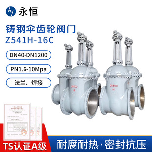 �T䓷��m���X݆�l�TZ541H-16C��늄Ӻ���֧ͨ���y�T�_�P�l�y