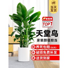 B҃ȿ͏d߼д;GֲkҴ~ֲ߶Qm·