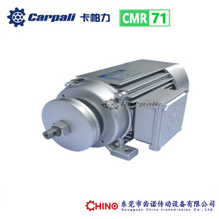 CMRľ���и�늙C ������CARPALI�p�͊A�Ƭ늙C