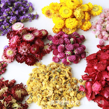 狂想者【自然干花头】香包香薰蜡烛玻璃瓶装饰自然干花diy材料包