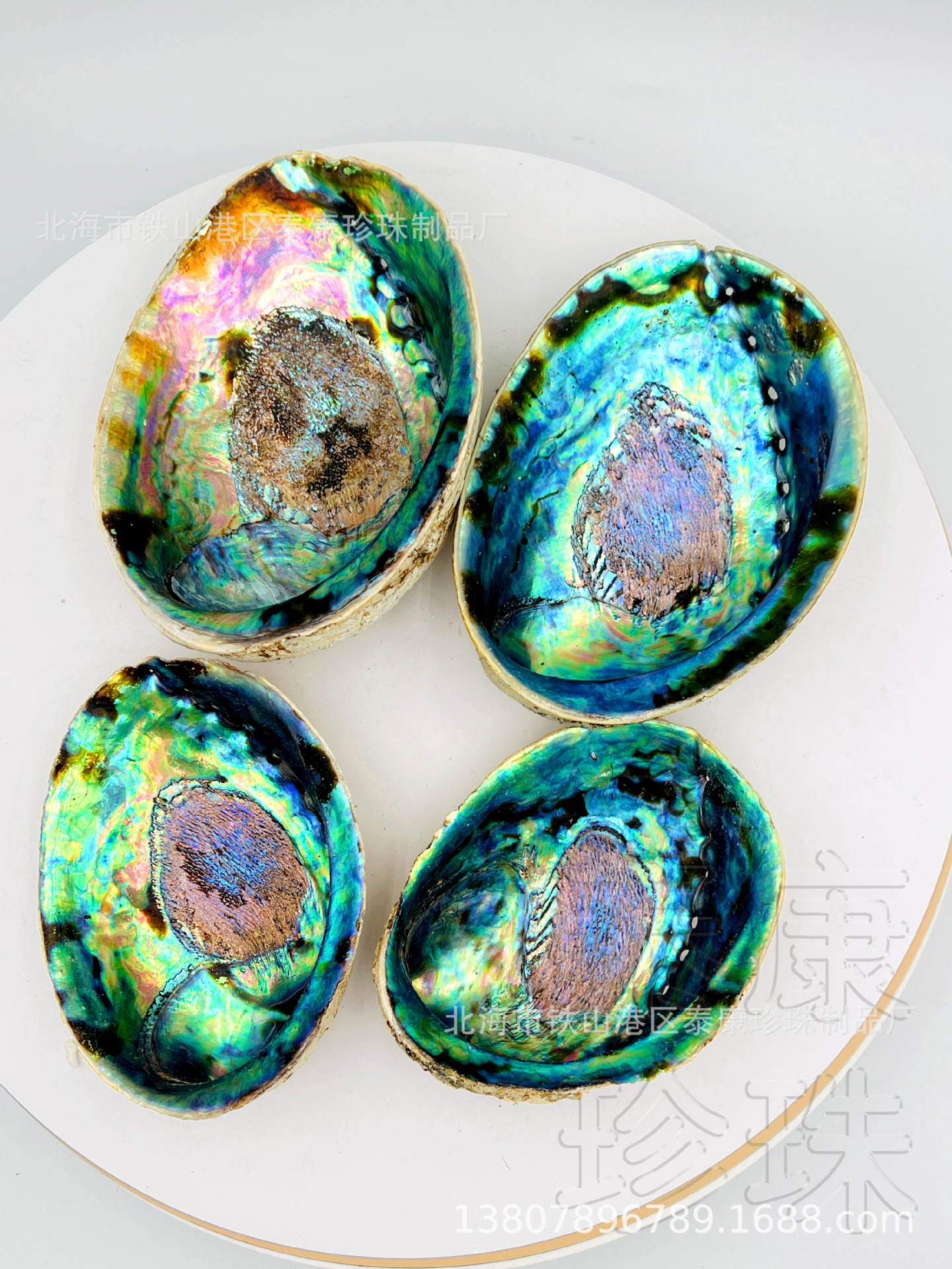 IMG_0131 四个新西兰鲍鱼壳