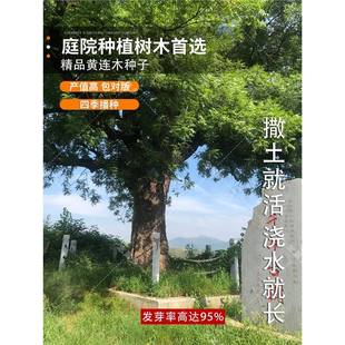 �²���ľ�N���S�Bľ�N�ӿ�ľ�����S鬘��ļ��ɲ��S�Bľ�N��