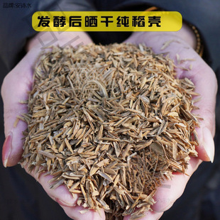 �i�S�ɰl��ţ�SÓˮ�S�㵾���I�B͸������������ǠI�B���ω�����