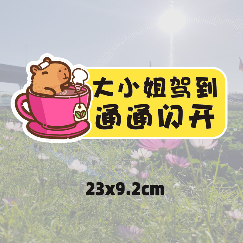 Capabala [big Miss arrived]]