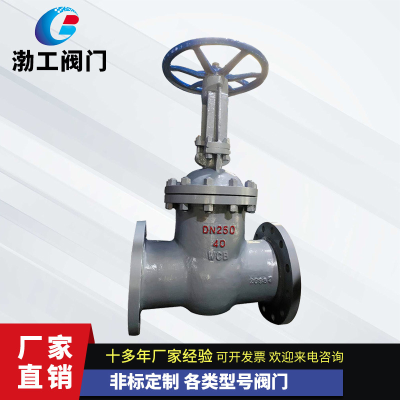 厂家定做 Z41W-16P闸阀 DN250 PN40 304不锈钢法兰闸阀 手动阀门