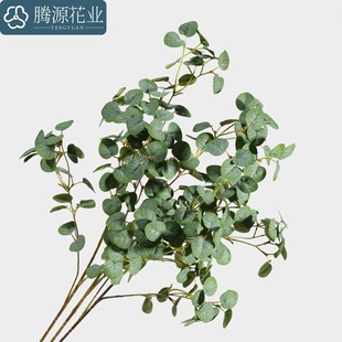 5������ȼ������X�~�Ҿӻ�c�b�����ٻ��Gֲ��֧�ȼ����~�b�