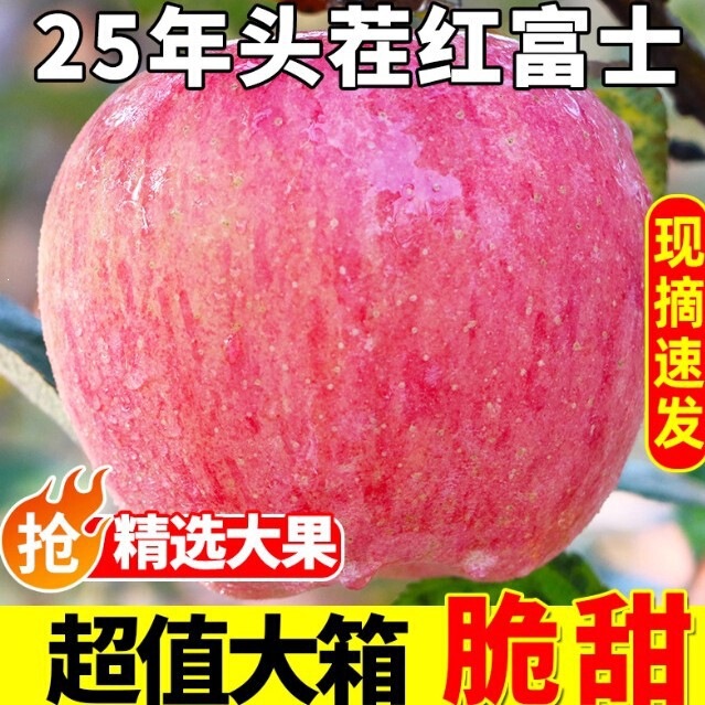 Authentic Red Fuji Apples, Crispy, Sweet, Juicy, Fresh Seasonal Fruit, Paper-Bagged Crispy Sweet Apples, Wholesale with Free Shipping Authentic Red Fuji Apples, Crispy, Sweet, Juicy, Fresh Seasonal Fruit, Paper-Bagged Crispy Sweet Apples, Wholesale with Free Shipping