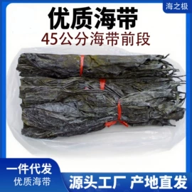 海带