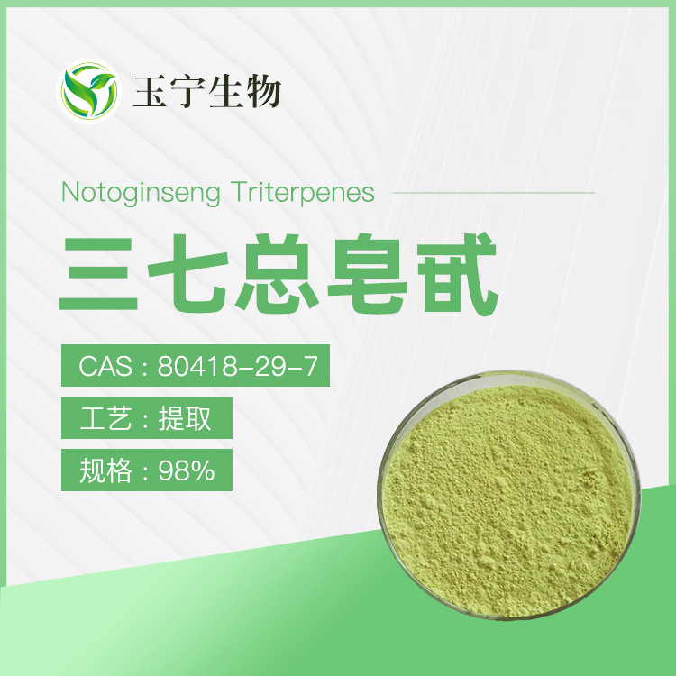 三七提取物  三七总皂甙 10:1 40%