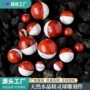 天然卡通拼接红白水晶球