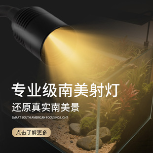 Special Lamp for Fish Tank USB Small Tank to Mini Spotlight South American Fish Tank Landscaping Stream Tank Focusable Led Light