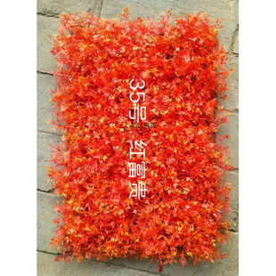 tFO~d~lؔPβ~Ƥٻݻ쾰