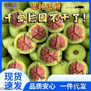 �����Ǫ{���^����y���ñ��Ƥ�������ـ��Ƥ���ܳ�����������]