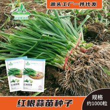 �ļ�����������Ӻ�Ƥ�´к�ͷ��������������̨����ͥԺ��������