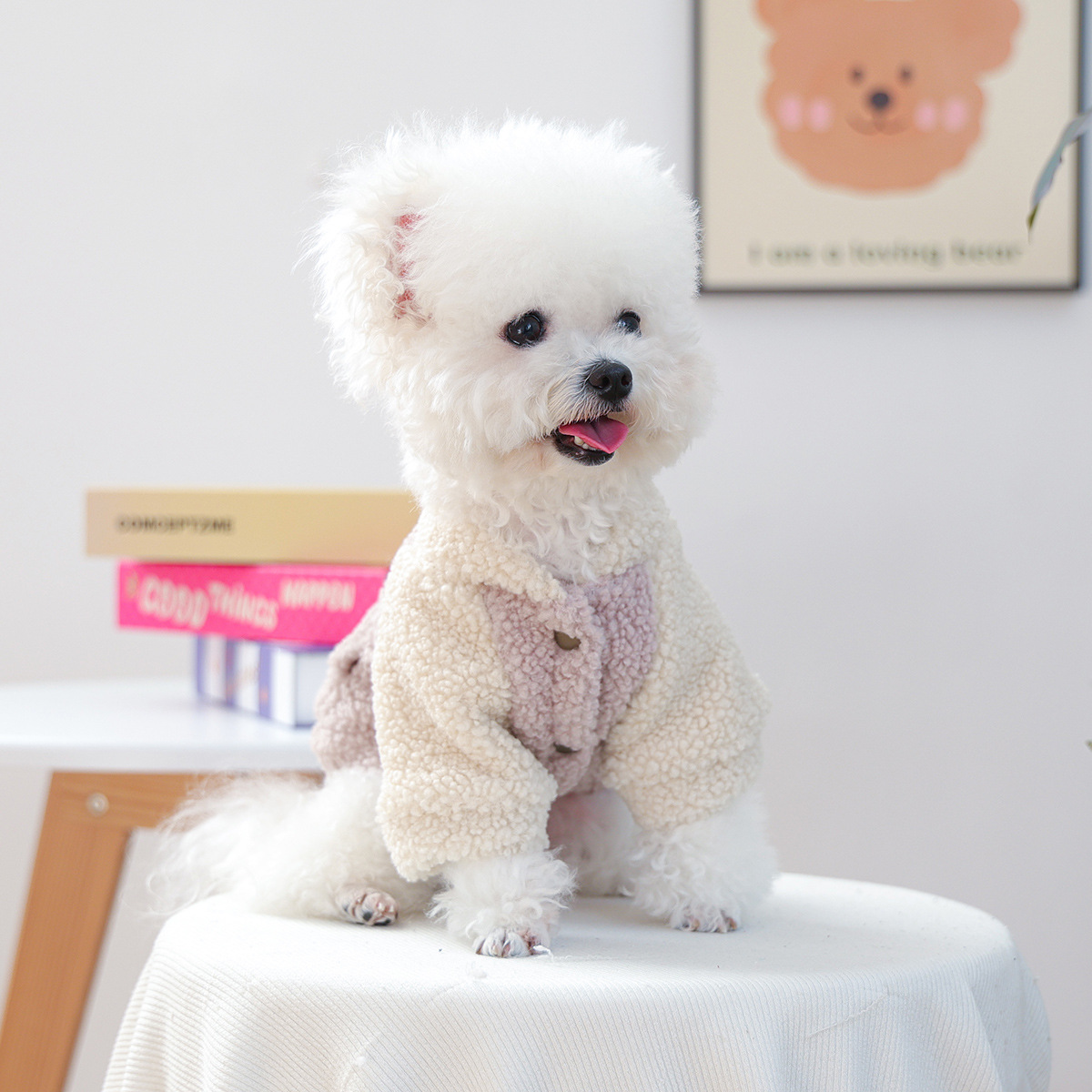 애완동물 옷 가을 겨울 신상 소형견 유견 쾌락 개 고양이 보온 편안 가두 뉴욕 스웨이드 맨투맨