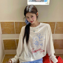 2025�¿��L�䱬�����������猒���OӋ��chic�nϵ����