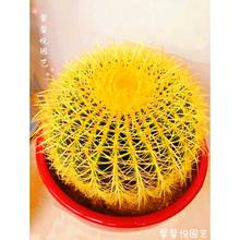 ���������҃����Ի����̖���������߼�����ֲ��Ʒ�N��ȫ��ݗ��