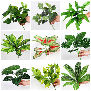 ۻGֲ֧ϸ廨Gݸ͏dۘǲֲb