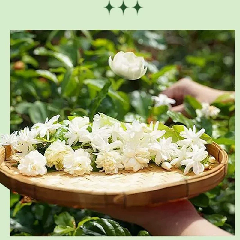 Упор Pu'er черный кофе 2г*11 пакетиков аналогичного стиля Xue и Ba Pu'er чай специальный растворимый кофе порошок