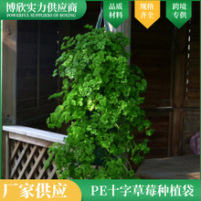 ʮ�ֲ�ݮ�Nֲ���Ғ�ʽ���ѷNֲ���҃����ⴹֱ�߲���ݻ��ܷNֲ��