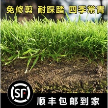 ͺļƺѶݰĽѻ첥ݷN