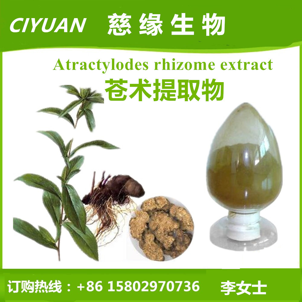 苍术提取物 茅术提取物 Atractylodes rhizome extract多规格现货