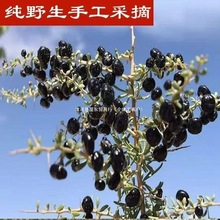 lSҴһ轲ڹ轺ںСlຣɢb