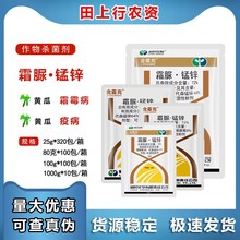 K񻯹˪72%˪i\˪ɭi\˪ù߲