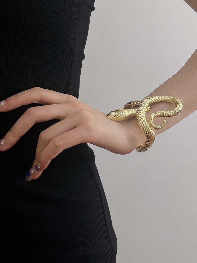 Rétro Serpent Alliage De Gros Bracelet display picture 4