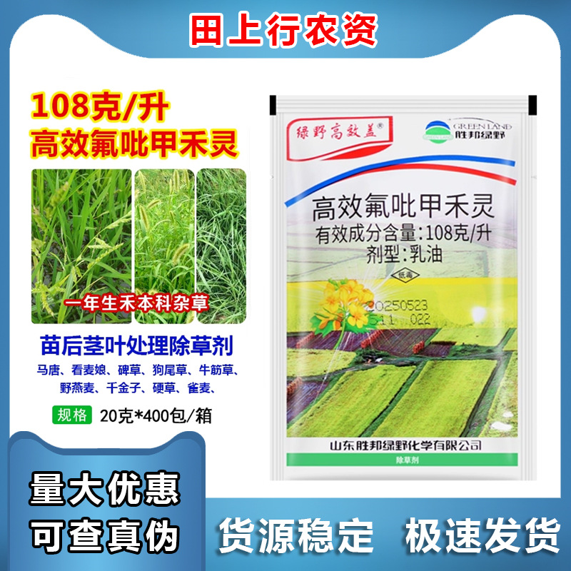 胜邦绿野 高效盖 10.8%高效氟吡甲禾灵 冬油菜田禾本科杂草除草剂