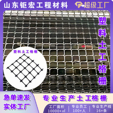 厂家生产塑料土工格栅单向塑料土工格栅TGSG双向拉伸塑料土工格栅