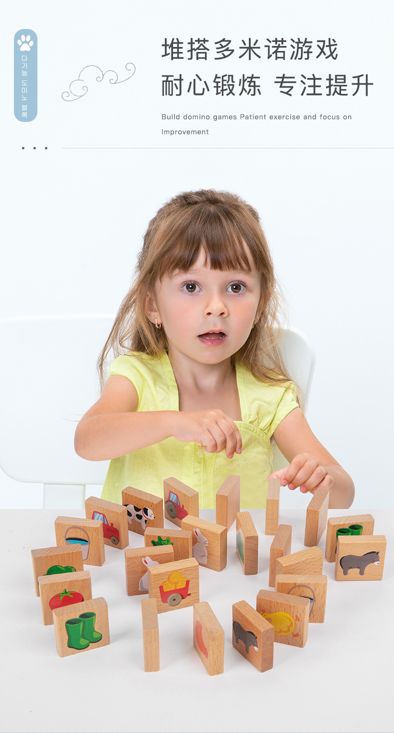 多功能多米诺积木_02.jpg