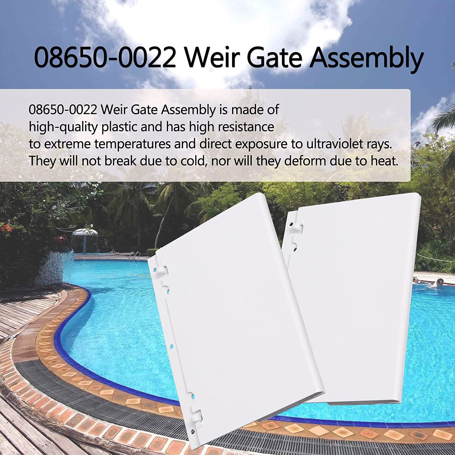Pentair Sta-Rite U-3 Skimmer-Tür