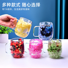 高硼硅玻璃双层杯带把手干花杯耐热家用果汁饮料马克杯简约玻璃杯